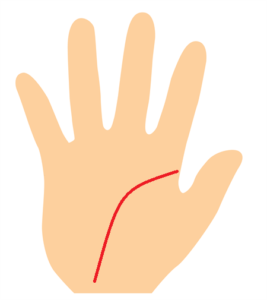 手首に向かって垂れ下がる知能線の手相