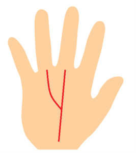 運命線と太陽線の手相