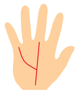 運命線と財運線の手相