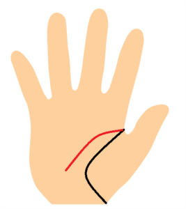 知能線が短く曲線の手相