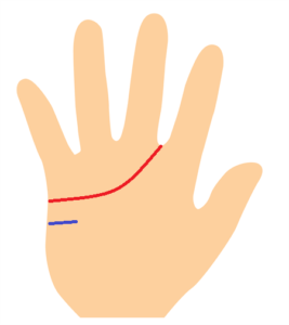 感情線が人差し指と中指の間と忍耐線の手相