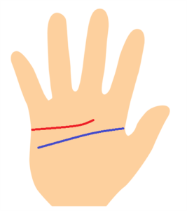 感情線が短く知能線が長い手相