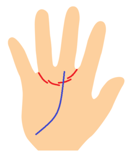 金星帯と運命線の手相