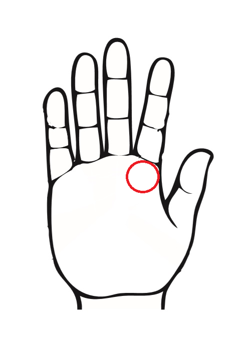 人差し指下にある４つの手相 縦線 横線 曲線の違いで見分ける方法を全公開 手相labo 星健太郎 Hoshi
