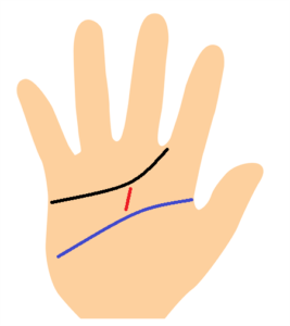 運命線が知能線と感情線の間にある手相