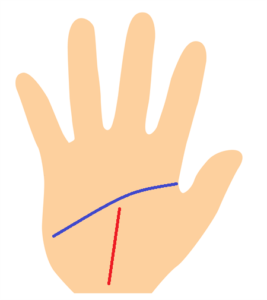 運命線が知能線まで伸びる手相