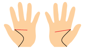知能線が左手の方が短い手相
