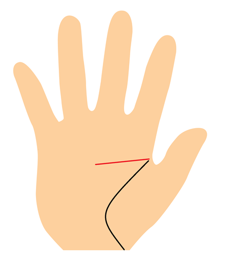 知能線が短い手相は頭が悪い 知能線の 長さ でわかること 手相labo 星健太郎 Hoshi