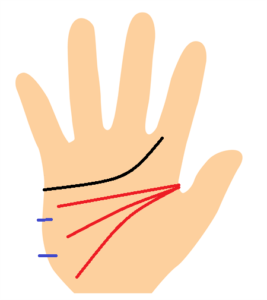 知能線の手相