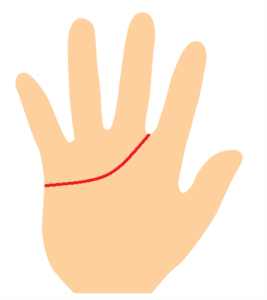 感情線が人差し指と中指の間の手相
