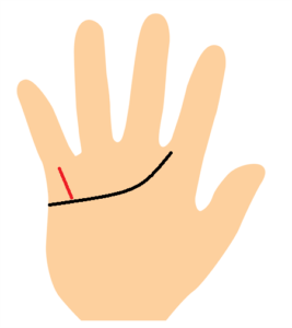 財運線が感情線まである手相