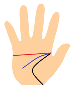 手相、変形マスカケ線