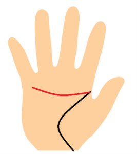 知能線が上昇して小指側に伸びる