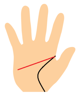 手相、知能線が長い