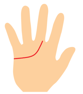 感情線が中指に伸びる手相