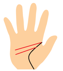 手相、二重知能線
