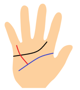 手相、財運線が知能線まで伸びている