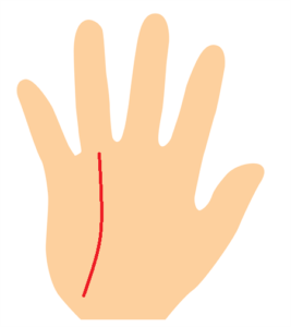 人気運の強い太陽線の手相