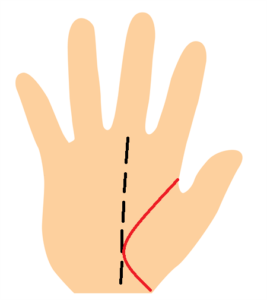 手相、生命線が中指辺りまで張り出している