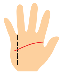 手相、知能線が長い