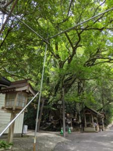 八大龍王水神社