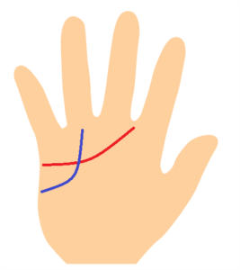 忍耐線が太陽繊になる手相