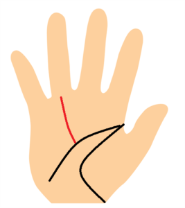 太陽線が知能線まで伸びる手相